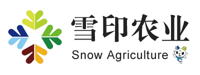 www.shhuicheng.cn  